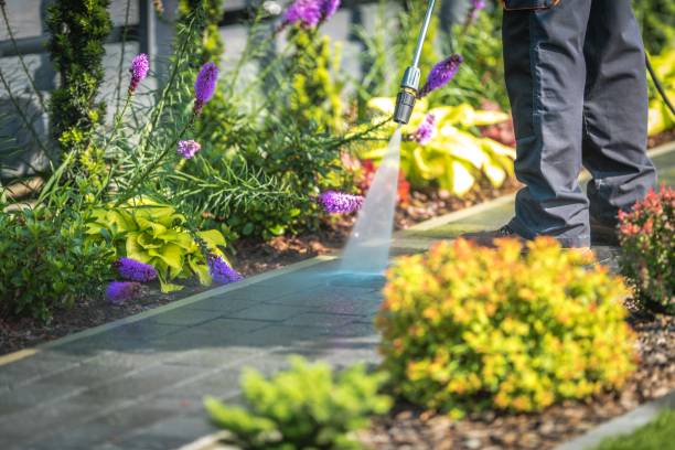 Best Animal Enclosure Cleaning  in Negaunee, MI